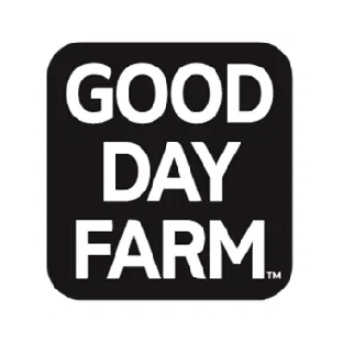 Logo 4